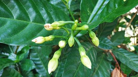 育碧官宣：《飙酷车神3》将于明天正式公布