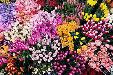 粉丝为《星露谷物语》制作MOD打造博德村