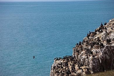 尼尔：顽皮狗新项目雄心勃勃 但制作起来非常困难