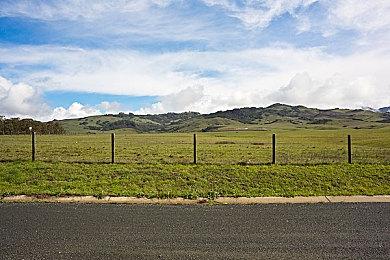 《师父》PC配置公布 推荐只需GTX 970显卡