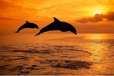 《妮姬》角色拉毗新皮肤视频 绝美很热辣